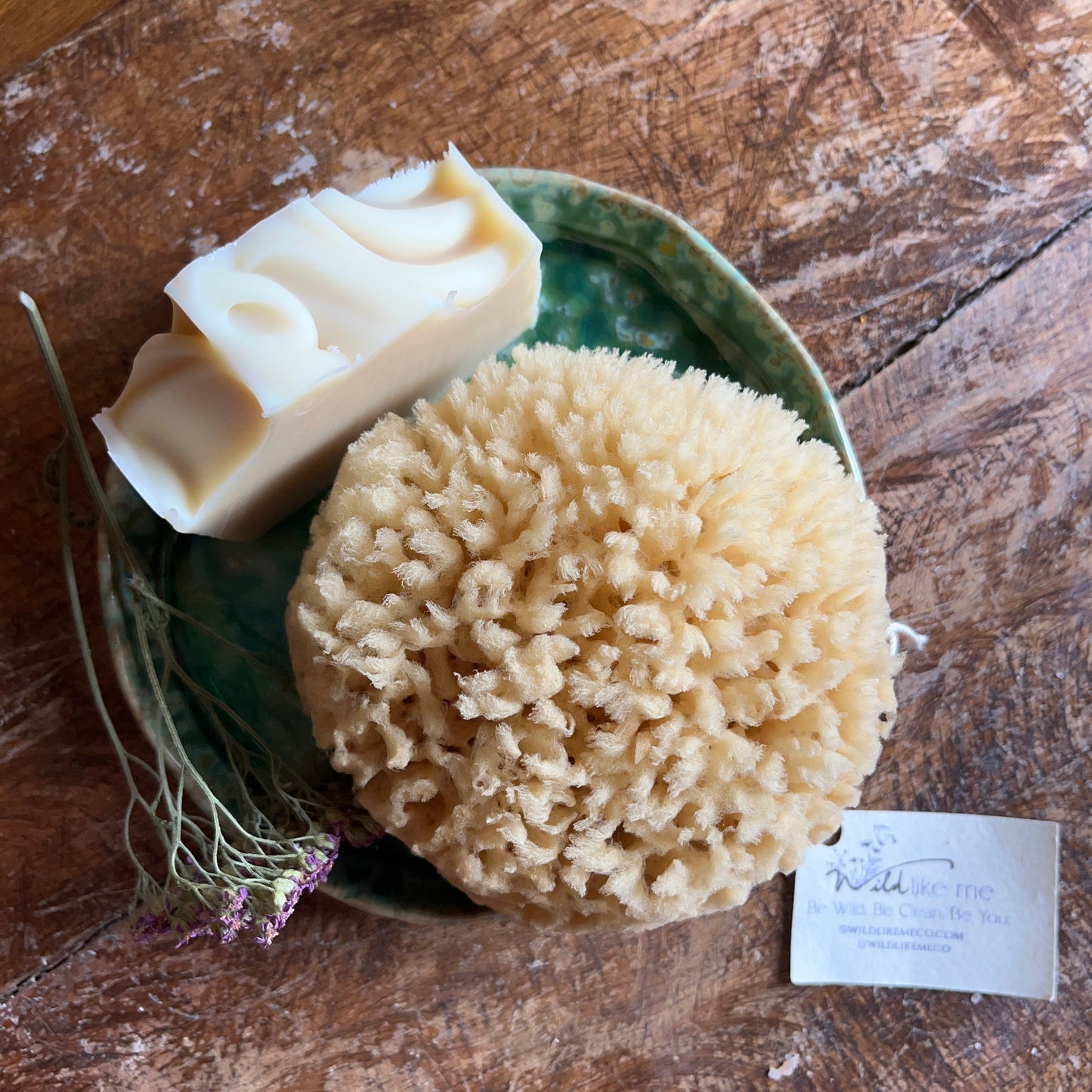 Natural Wool Sea Sponge