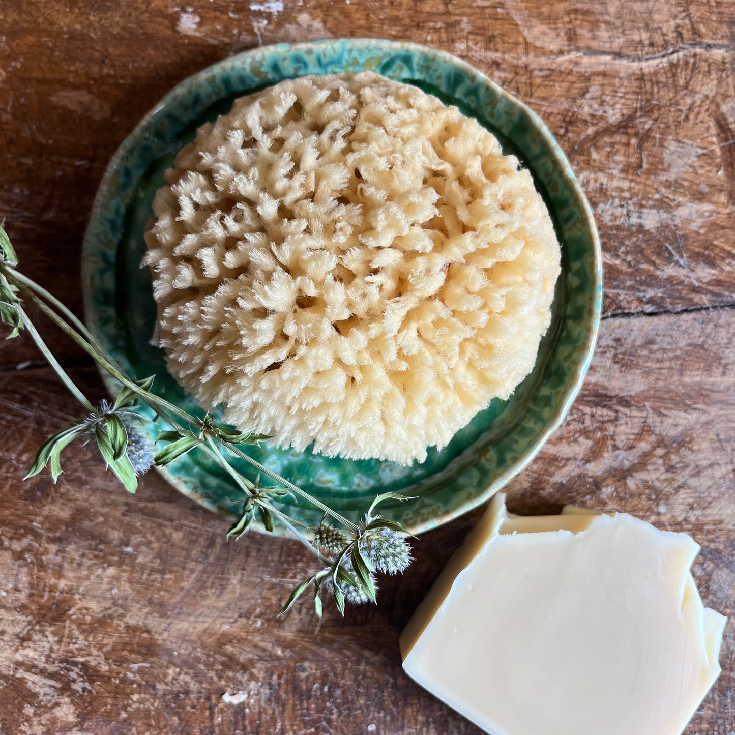 Natural Wool Sea Sponge