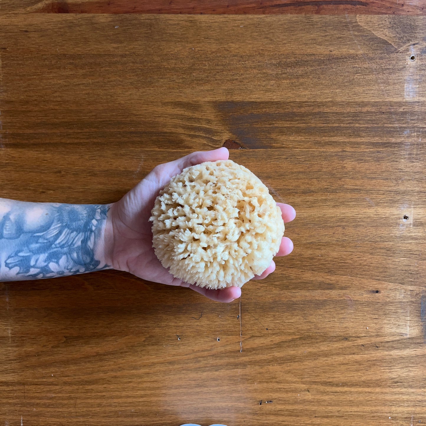 Natural Wool Sea Sponge