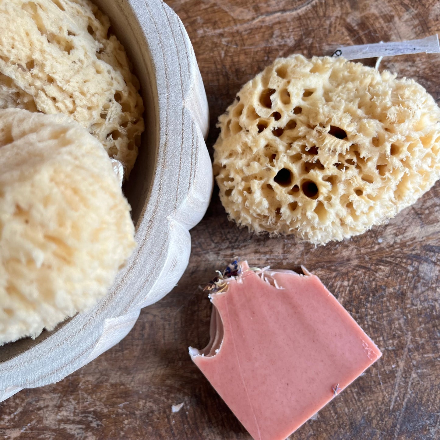 Natural Wool Sea Sponge