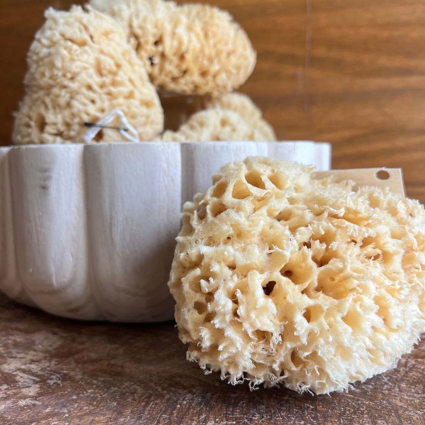 Natural Wool Sea Sponge